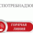 ерриториальный  отдел  Управления Роспотребнадзора по Республике Башкортостан начинает работу «горячая линия» - Давлекановский район