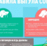 Обязанности владельцев животных - Давлекановский район